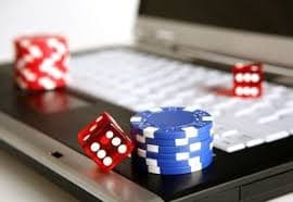 ivibet Panel profil
